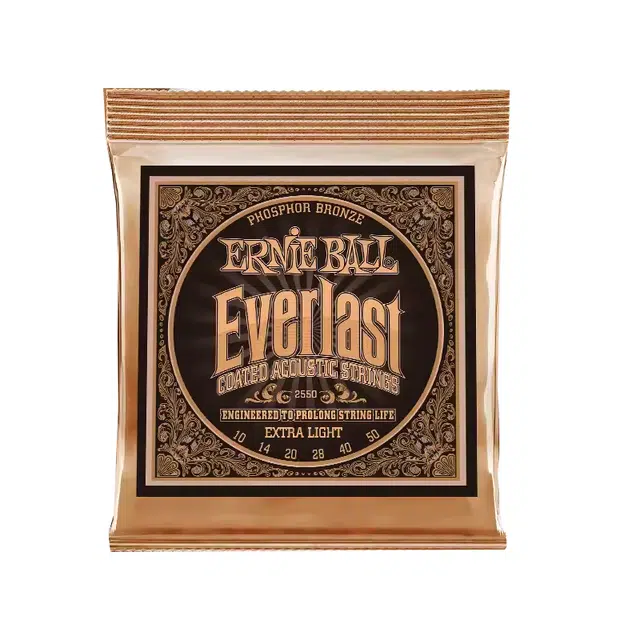 ERNIE BALL (EB) Everlast(