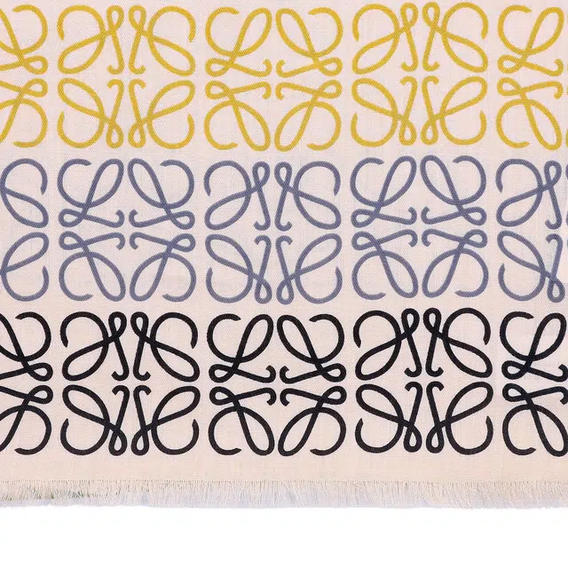 LOEWE Scarf