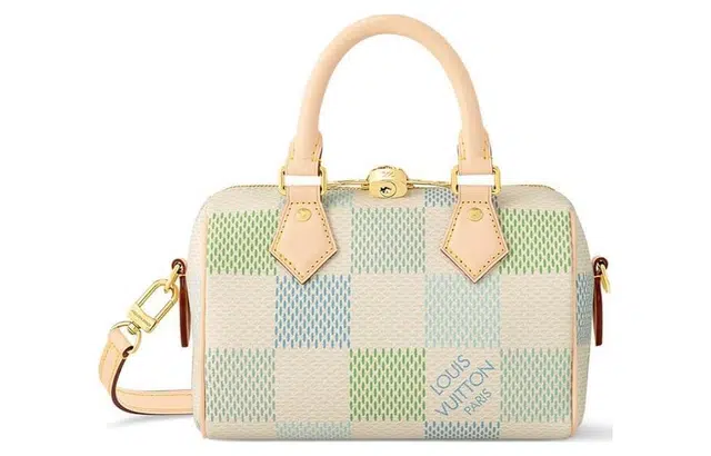 LOUIS VUITTON Speedy 20