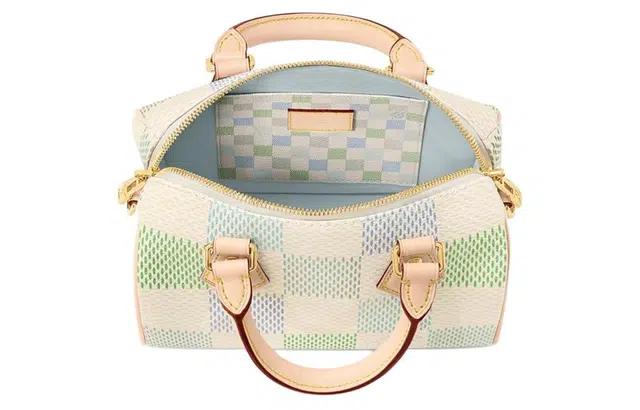 LOUIS VUITTON Speedy 20