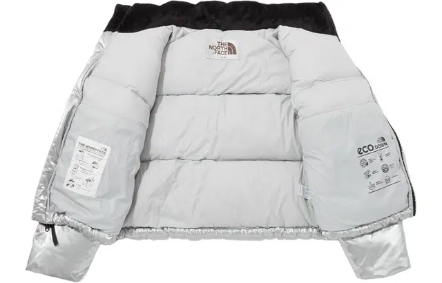 THE NORTH FACE W'S Novelty Nuptse Down Jacket Se