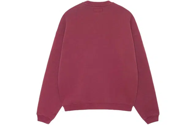 Stussy SS24 BIG CRACKLE SPORT CREW logo