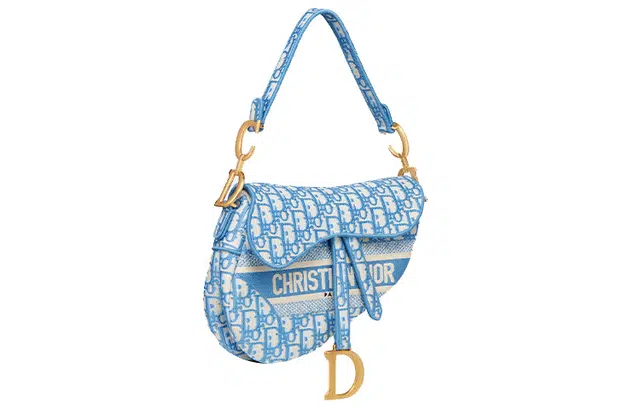 DIOR Saddle