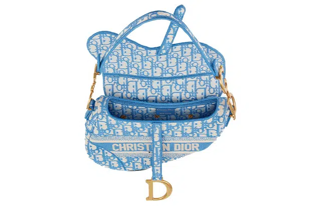 DIOR Saddle