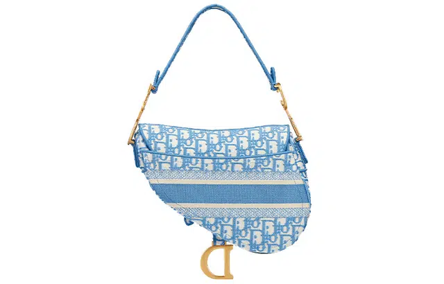 DIOR Saddle