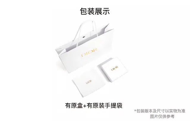 DIOR Saddle