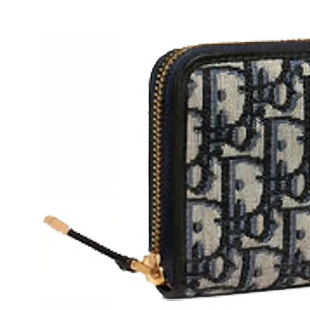 DIOR Montaigne Oblique