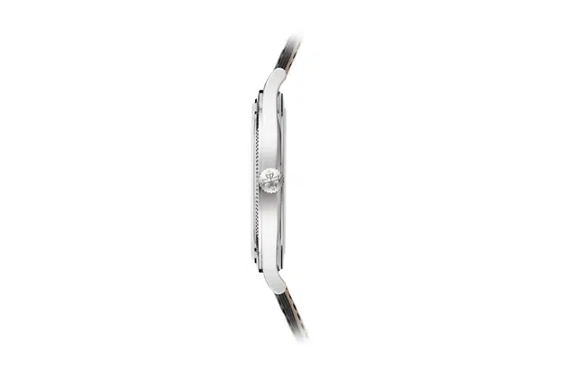 PATEK PHILIPPECALATRAVA 30 39mm K18K 6119G-001