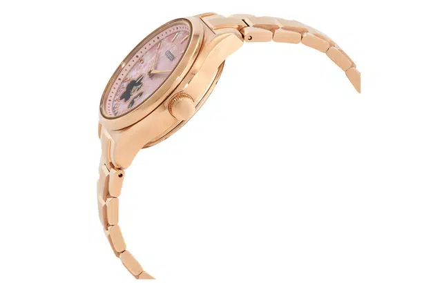 CITIZEN PC1019-66Y