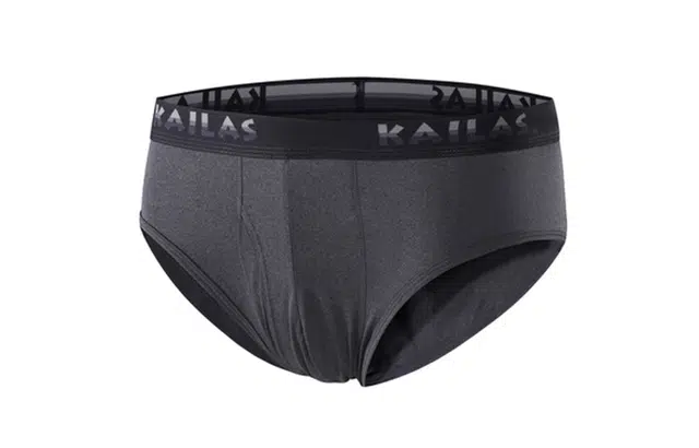 KAILAS (2)
