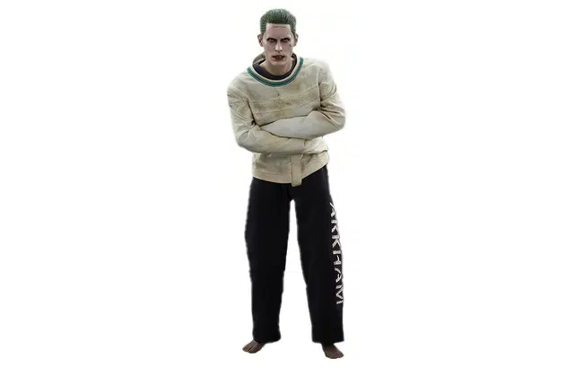 Hot Toys x 16 29.5cm