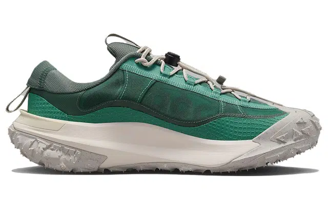 Nike ACG Mountain Fly 2 LOW