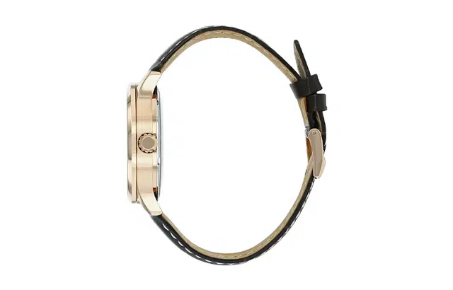 CITIZEN NJ0113-10A