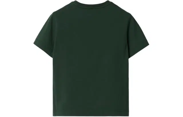 Burberry T