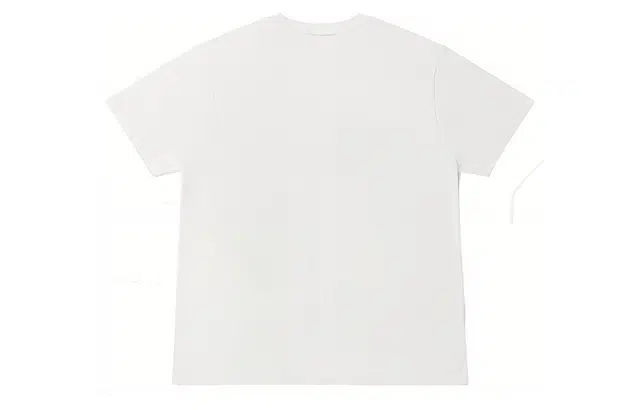 Dickies SS22 T