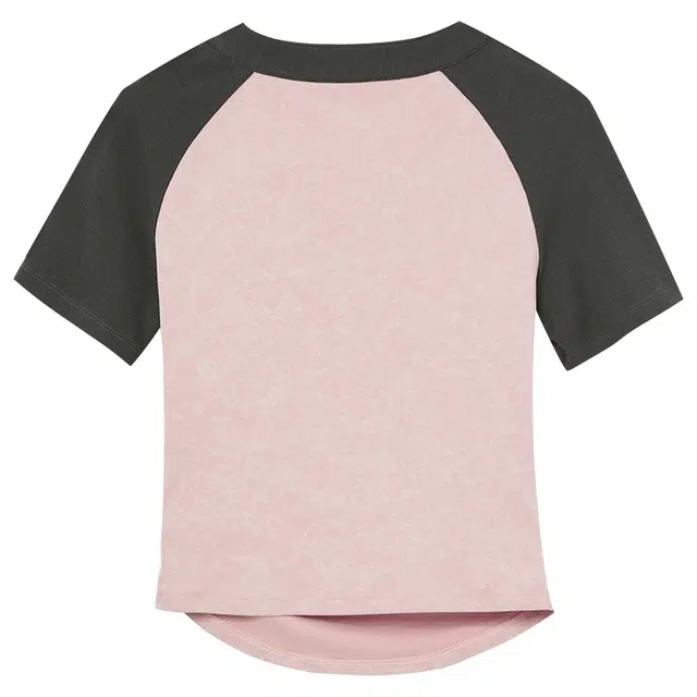 WESTLINK T