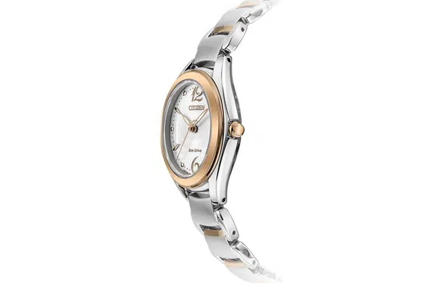 CITIZEN L 31mm FE2074-59A