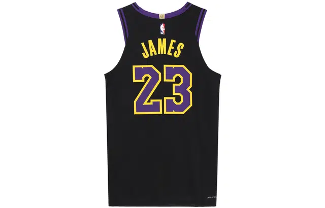 Nike LeBron James Los Angeles Lakers 202324 23