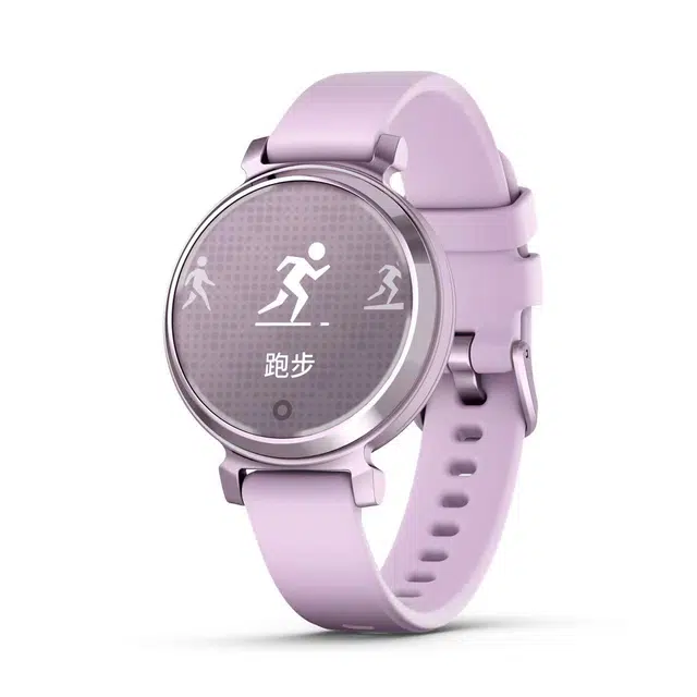 GARMIN app Lily2 010-02839-43
