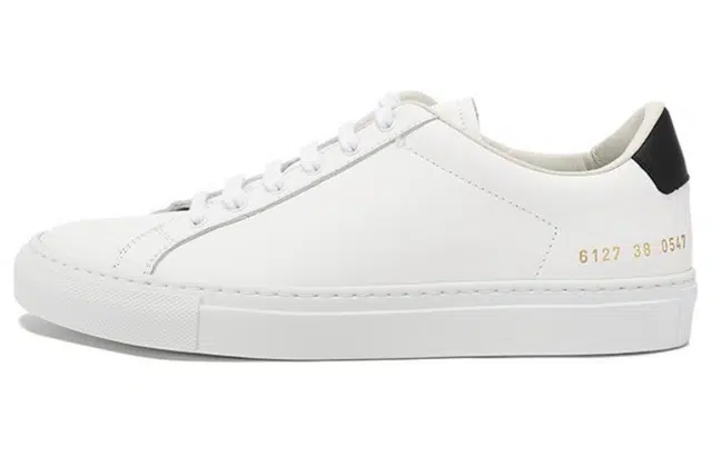 COMMON PROJECTS