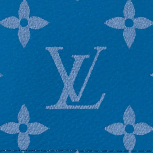 LOUIS VUITTON Logo TagaMonogram