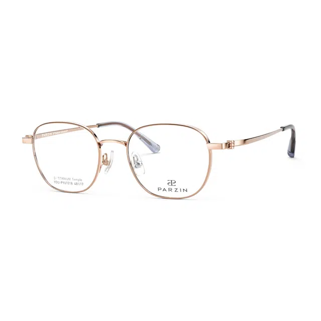 PARZIN 61018