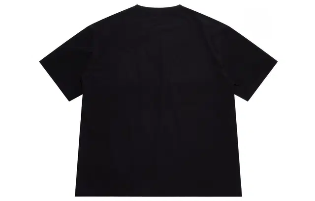 Dickies SS22 T