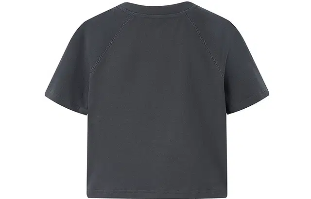 LEDIN logo T