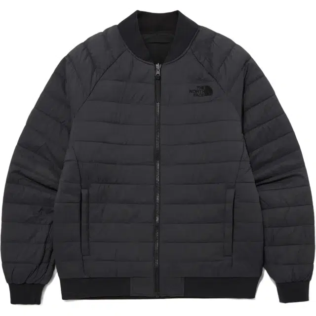 THE NORTH FACE FW23 HEAT LINE RVS BOMBER