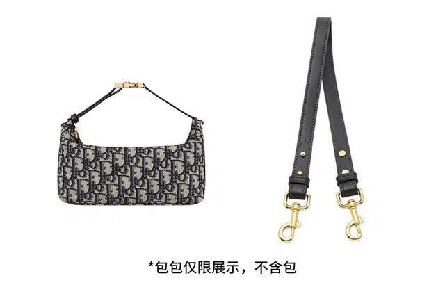 DIOR oblique
