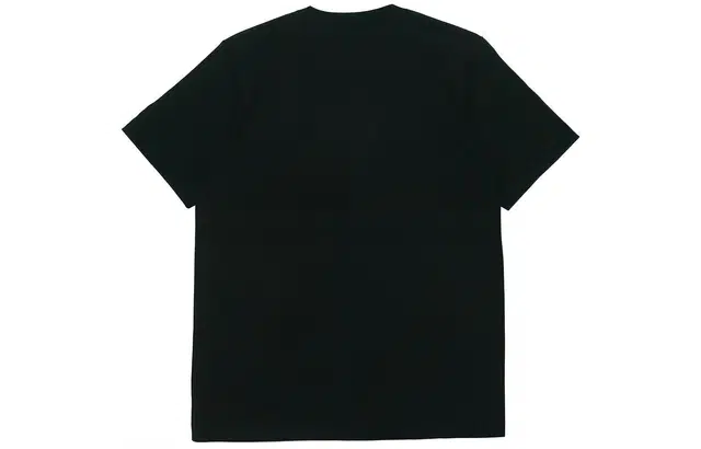 UNIQLO x KAWS SS19 T