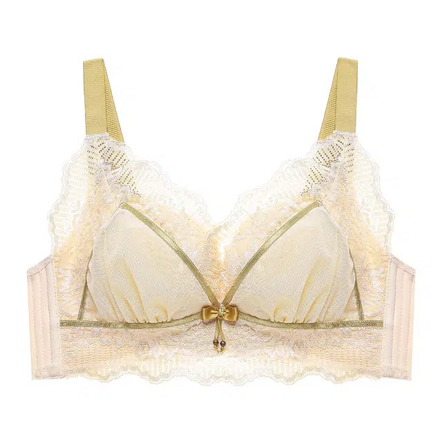 芬腾 小胸显大性感蕾丝收副乳防下垂聚拢文胸 女款