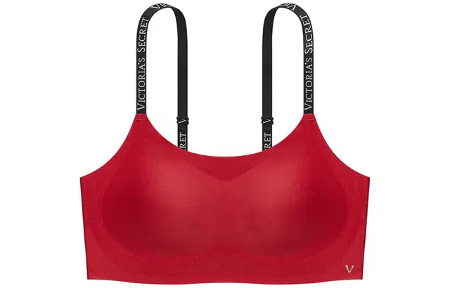 Victoria's Secret 8073 LogoV