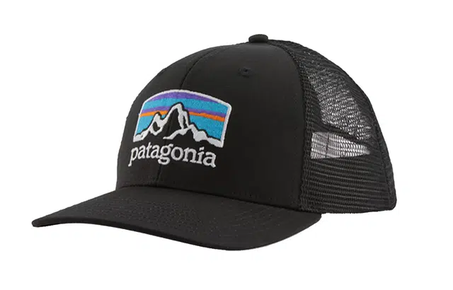 patagonia Logo