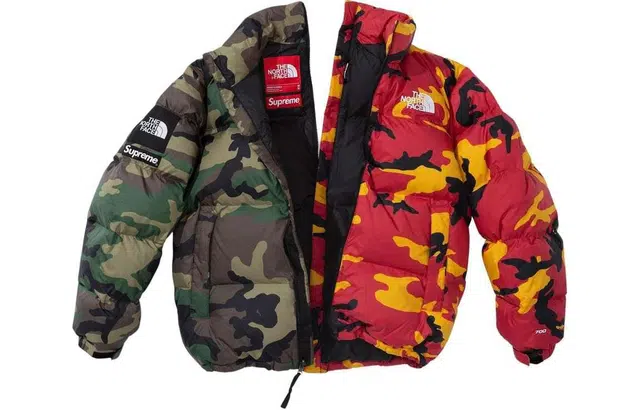 Supreme x The North Face Split Nuptse Jacket