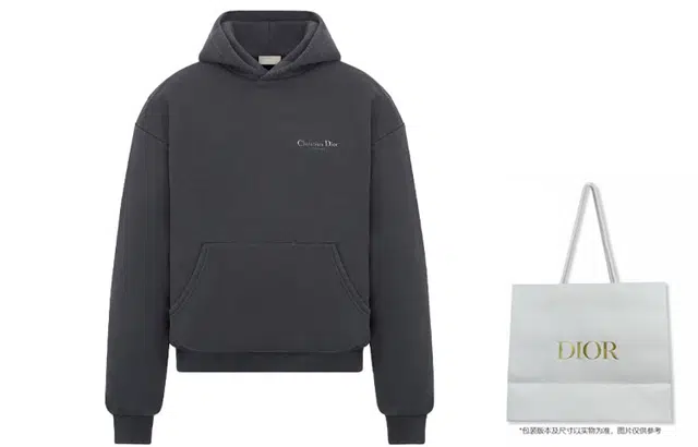 DIOR FW23 Logo Hoodie