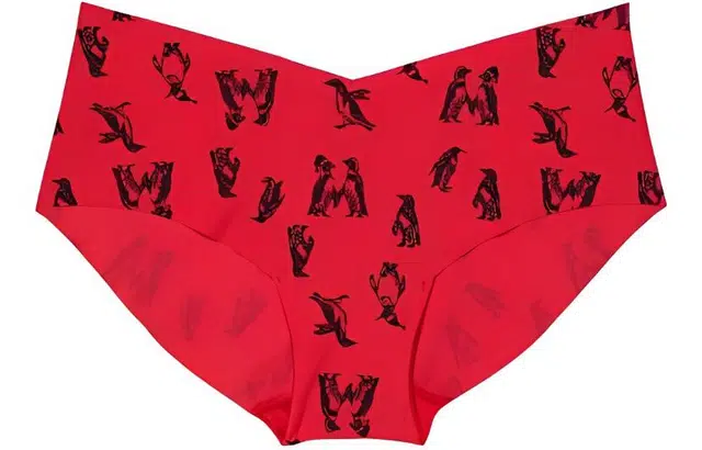 VICTORIA'S SECRET 1