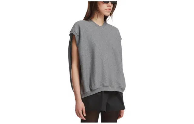 alexander wang V