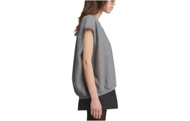 alexander wang V
