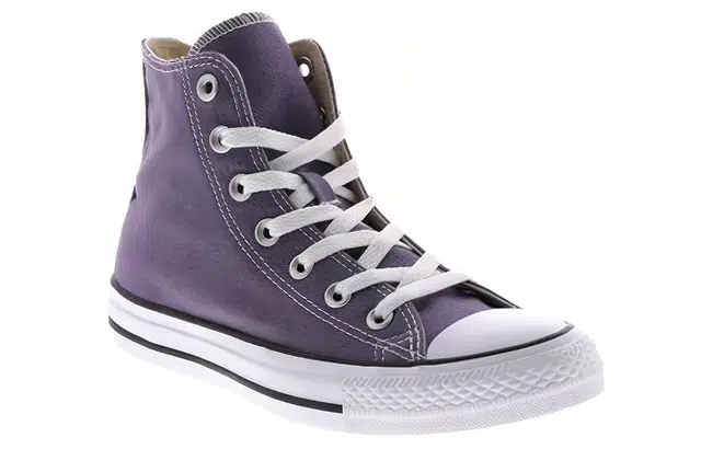 Converse Chuck Taylor All Star Seasonal High Top