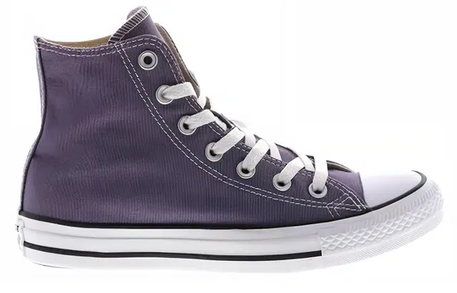 Converse Chuck Taylor All Star Seasonal High Top