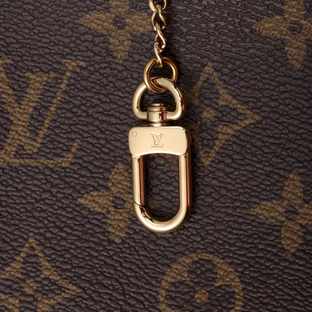 LOUIS VUITTON Pochette Accessories