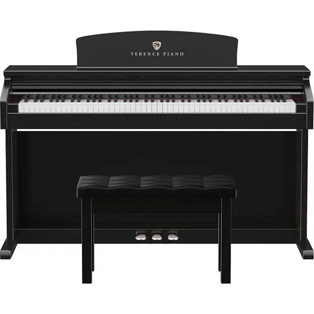 TERENCE () C30