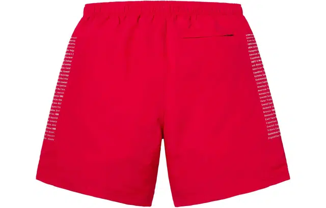 Supreme x The North Face Nylon Short