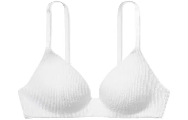 VICTORIA'S SECRET Logo