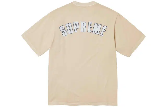 Supreme SS24 WEEK3 CRACKED ARC SS TOP T