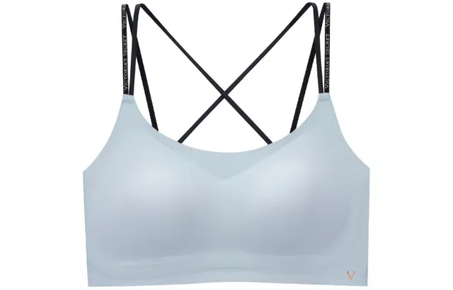 Victoria's Secret 1464 Logo