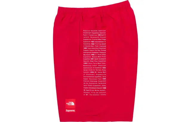 Supreme x The North Face Nylon Short