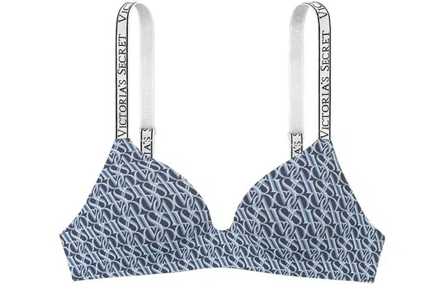 VICTORIA'S SECRET LogoV