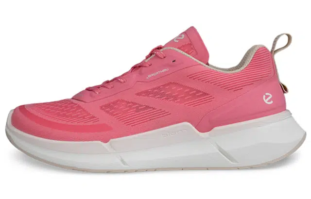 ecco 2.2